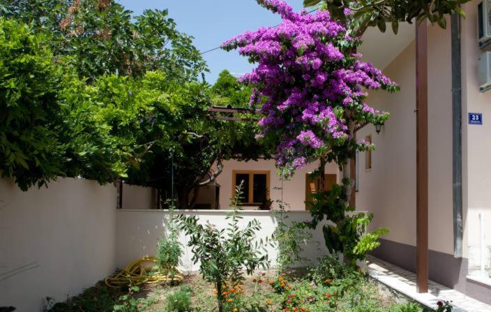 Apartments Beautiful Sandy Beach Сплит Стая снимка